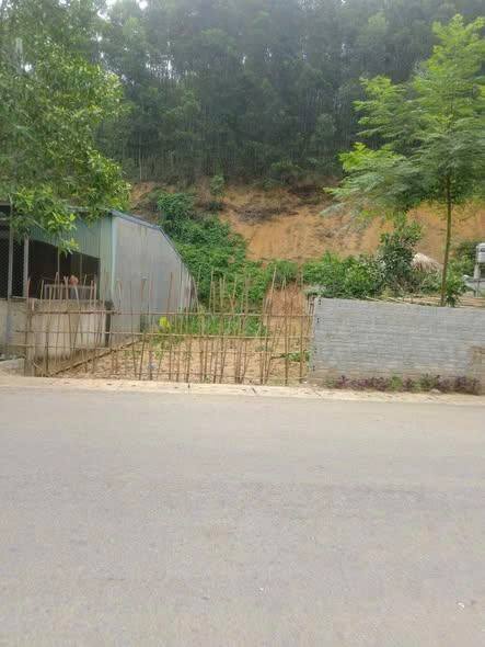 Đất thổ cư 125m² tại Thôn Cầu, Sơn Dương - Giá chỉ 5xx triệu, chính chủ!