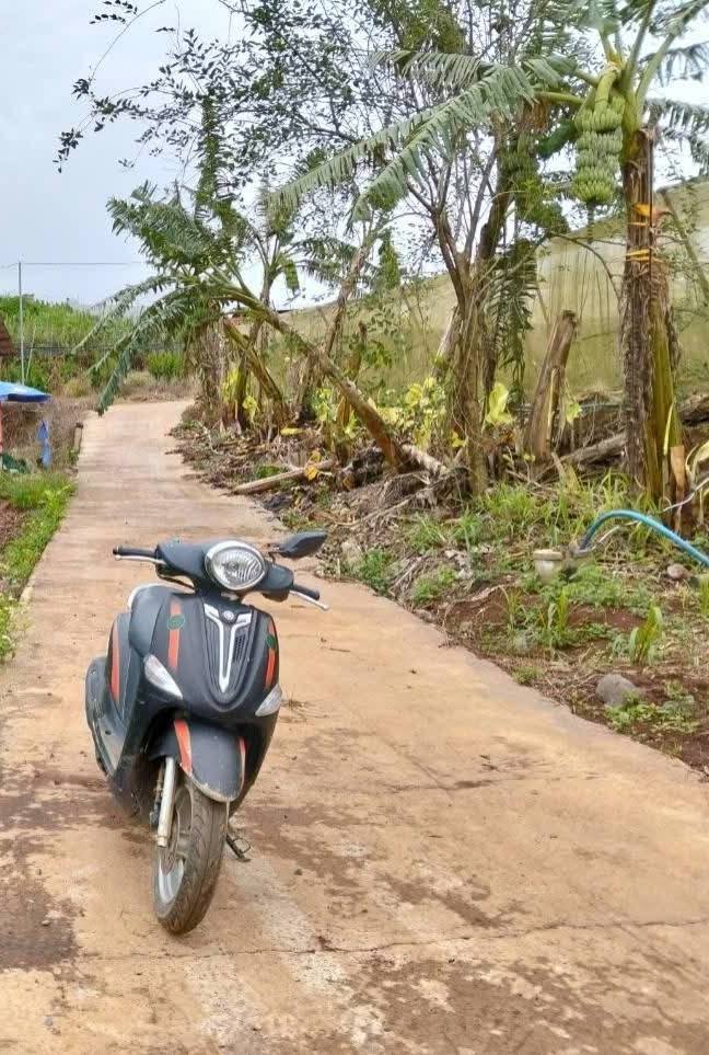 Đất sào 8000m² tại xã Quảng Lập, Đơn Dương 4.5 tỷ - Chính chủ, sổ hồng riêng