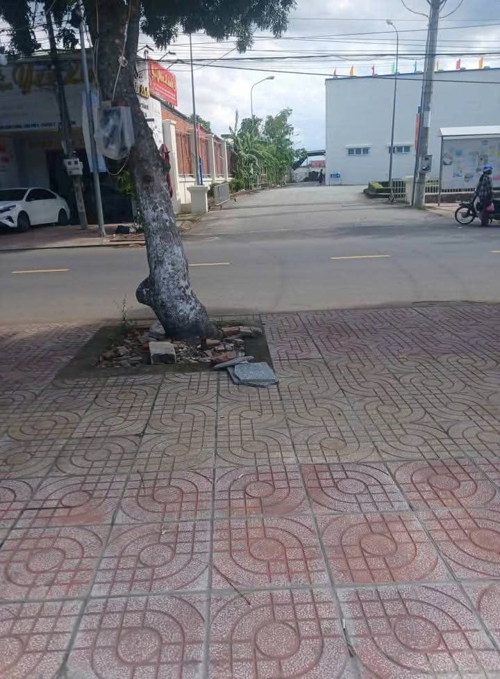 Đất nền mặt tiền đường Trần Công Tường, Gò Công 174m² giá chỉ 4.35 tỷ - Cơ hội đầu tư hấp dẫn!