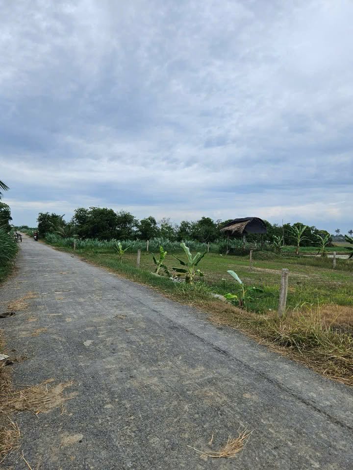 Đất Farm 1200m² tại Bình Tân, Gò Công Tây - Giá chỉ 600 triệu, Đầu tư sinh lời!