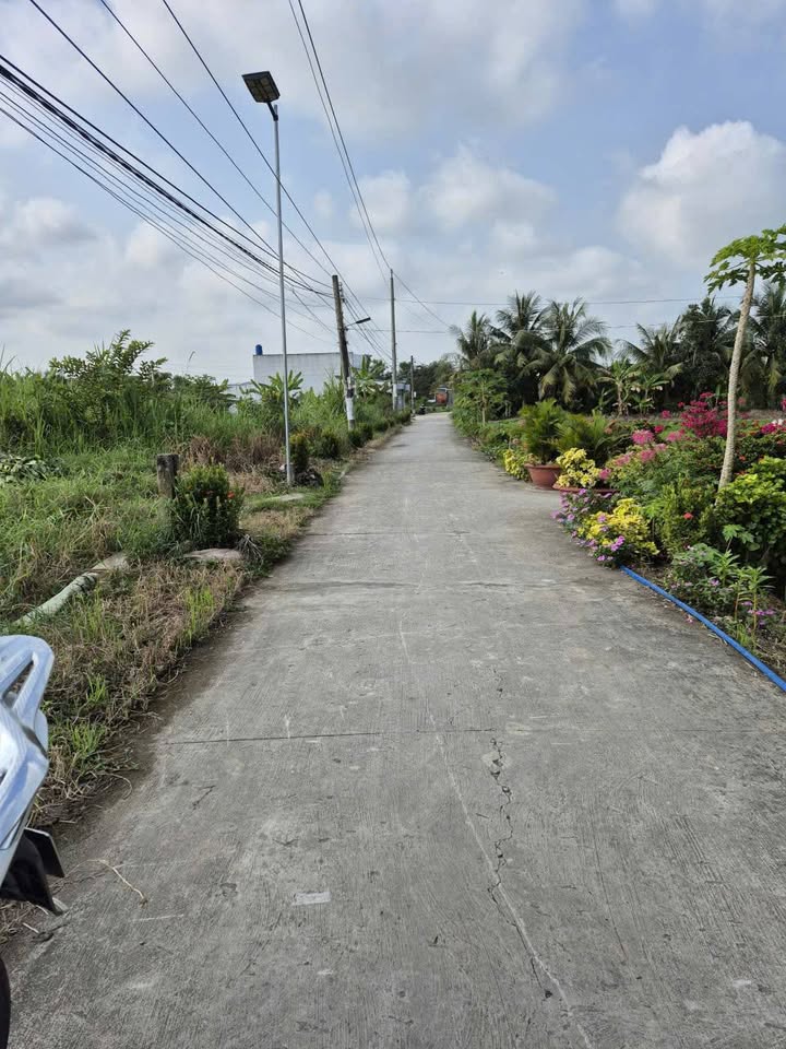 Đất nền Gò Công, Quốc lộ 50, 200m² chỉ 550 triệu - Đầu tư sinh lời ngay!