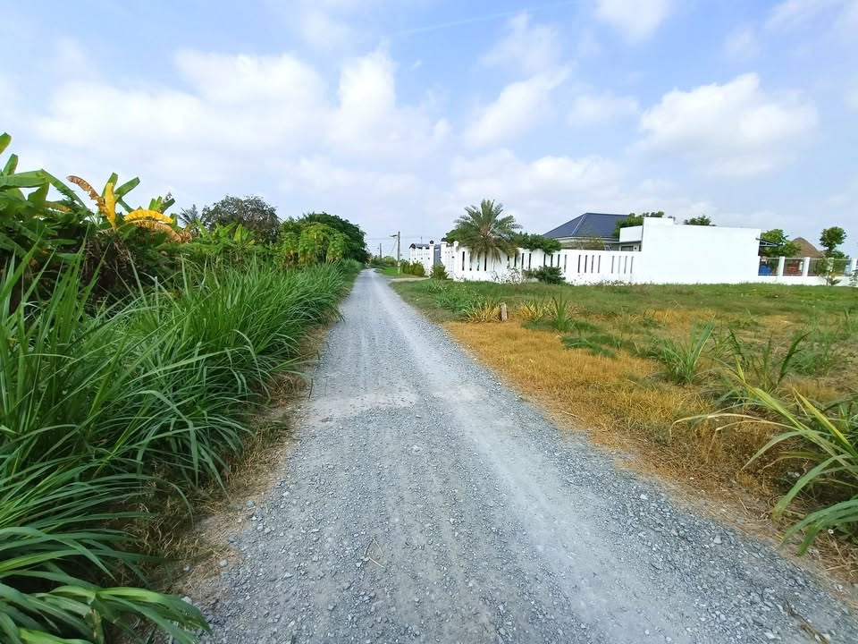 Đất nền 968m² xã Phú Thành A, huyện Tam Nông - Tiềm năng đầu tư tuyệt vời!