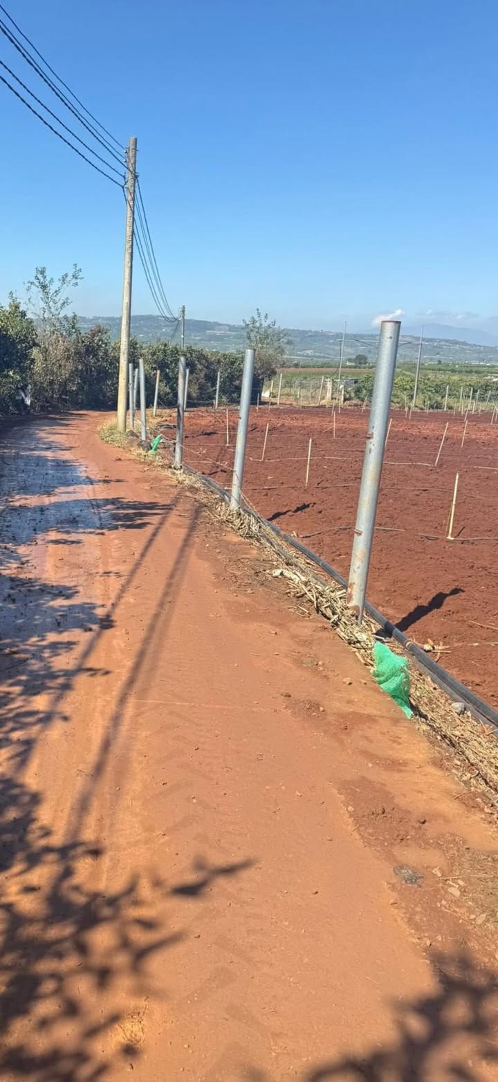 Đất nền Tân Hội 135m² giá chỉ 439 triệu - Sổ sẵn, thổ cư 100%!