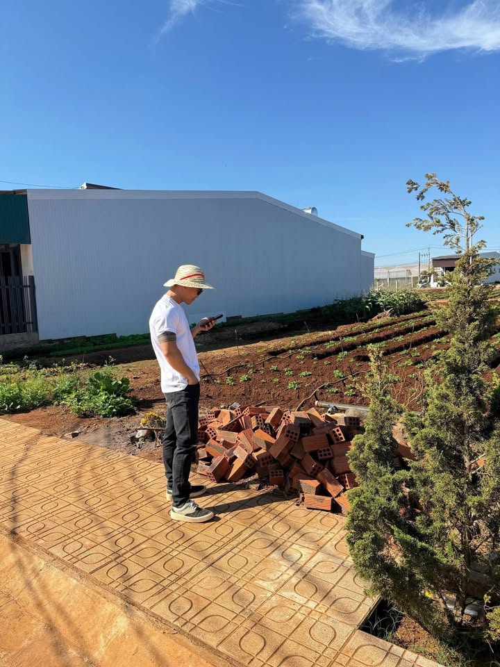 Lô đất Đạ Ròn 156m² giá 800 triệu - Cơ hội đầu tư hiếm có!