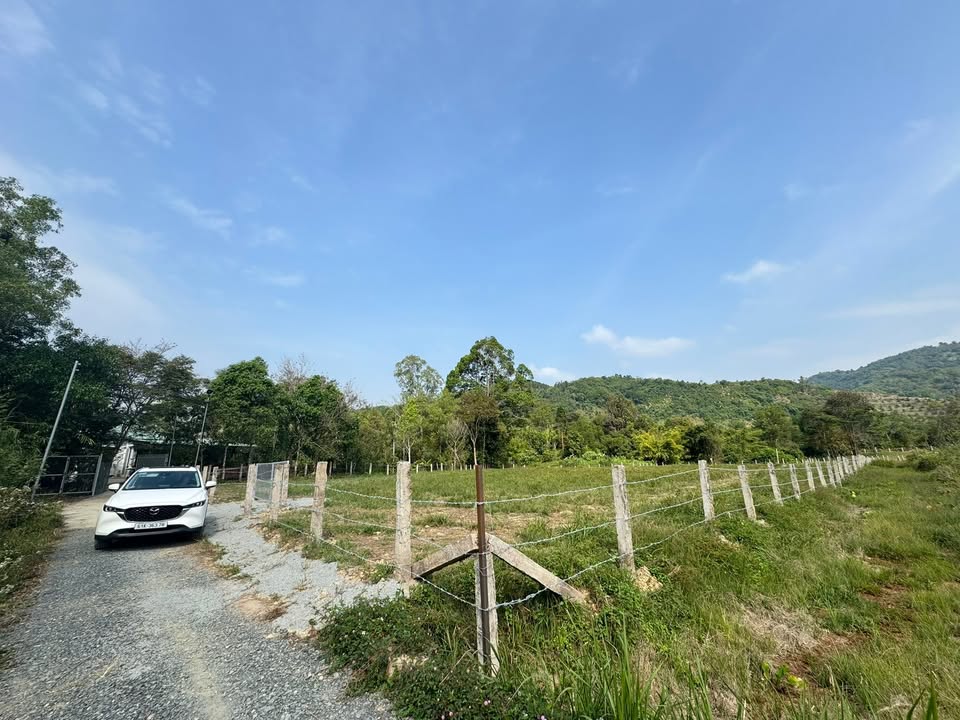 Bán đất tại Quảng trường Madagui, Đạ Huoai, diện tích 6630m² - Vị trí đắc địa hai mặt tiền