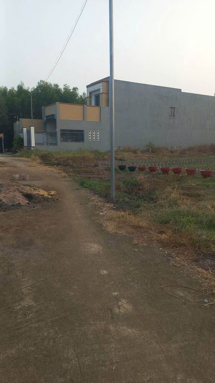 Đất nền Tam Phước Long Điền 246m² giá 1.4 tỷ - Cơ hội đầu tư tuyệt vời!