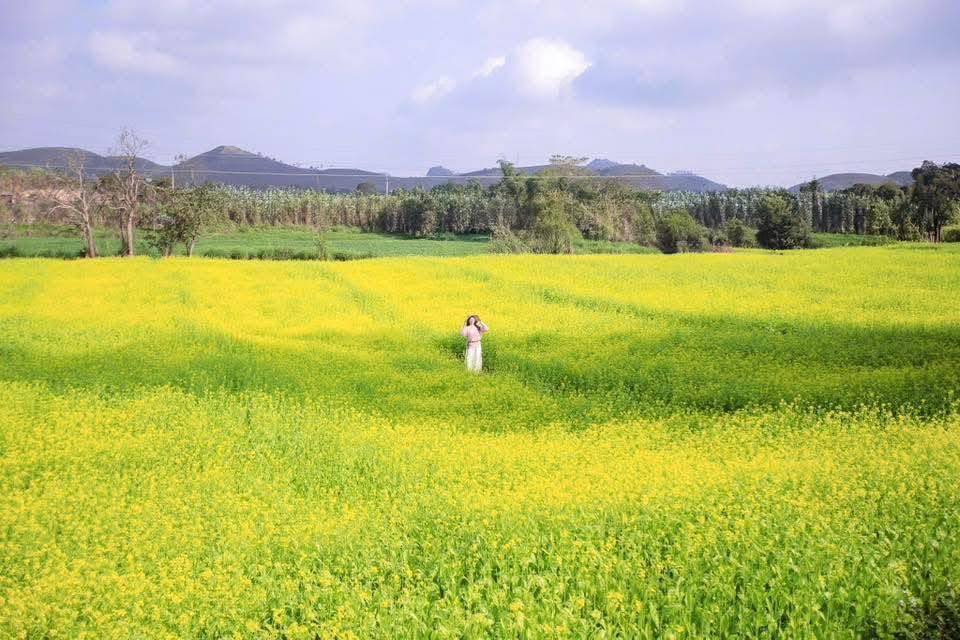 Đất nền mặt tiền Quốc Lộ 43, Phường Vân Sơn 120m² - Vị trí VIP, giá chỉ 5.2 tỷ!