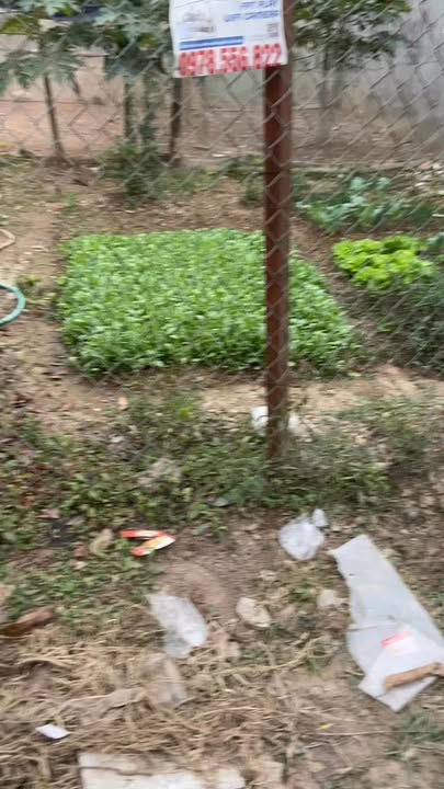 Đất nền Yên Mỹ, Thanh Trì 133m² giá chỉ 4.5 tỷ - Đầu tư sinh lời ngay!