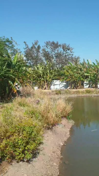 Đất nông nghiệp 5.200m² tại xã Hòa Khánh - Giá chỉ 2.08 tỷ - Cơ hội đầu tư tuyệt vời!