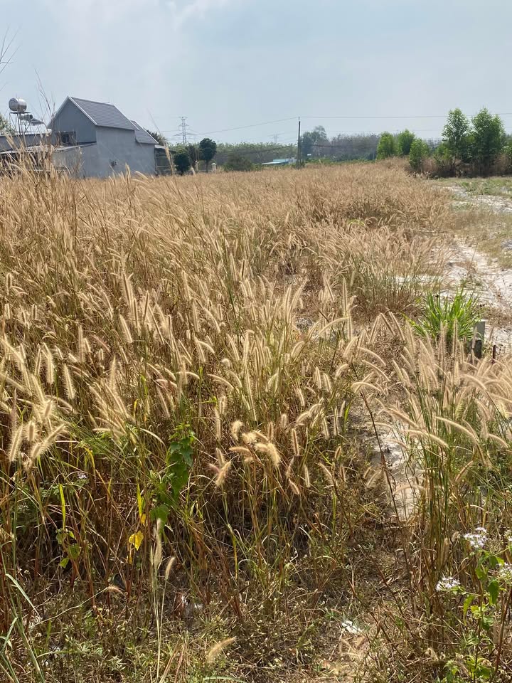 Đất nền Minh Hưng, Chơn Thành 250m² giá 550 triệu - Cơ hội đầu tư hấp dẫn!