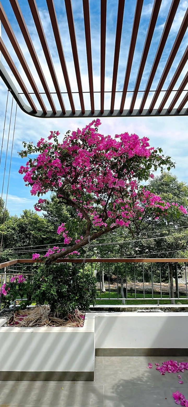 Đất thổ cư 500m² sát đường Lê Duẩn nối dài - Giá chỉ 2.1 tỷ, cơ hội đầu tư tuyệt vời!