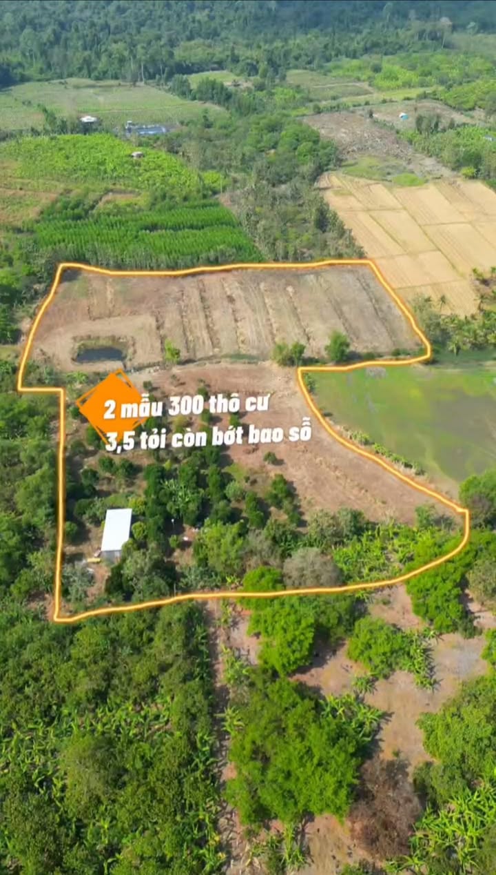 Đất nền 20.000m² tại Gia Canh - Giá chỉ 35 tỷ - Cơ hội đầu tư hiếm có!