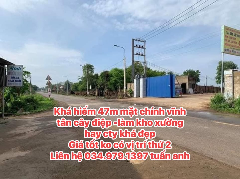 Đất nền 2100m² tại xã Cây Gáo, Trảng Bom - Cơ hội đầu tư vàng!