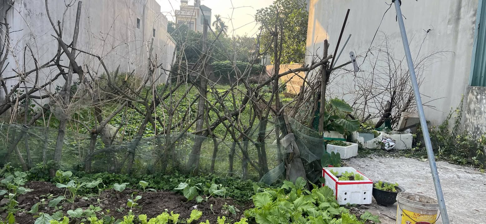 Đất nền khu Nhị Châu, Hải Dương 121m² giá 2.1 tỷ - Ô tô vào tận nhà!