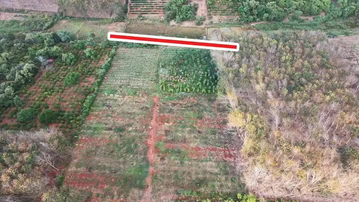 Farm 1.3ha tại xã Ia O, huyện Ia Grãi, Gia Lai - Cơ hội đầu tư vàng!