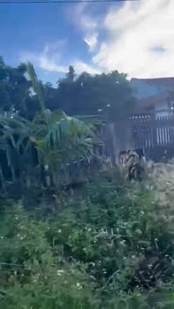 Nhà bán tại xã Ia Chia, huyện Ia Grai, 10000m² chỉ 650 triệu - Cơ hội đầu tư tốt!