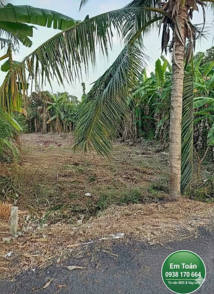 Đất nền Phường Mỹ Ngãi 250m² giá thỏa thuận - Đầu tư sinh lời nhanh!