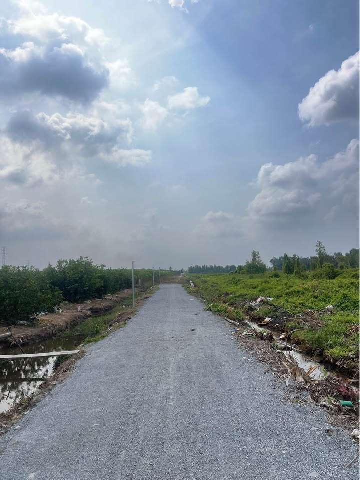 Đất nền Thạnh Hòa Bến Lức 500m² giá 380 triệu - Đường xe hơi vào tận nơi!