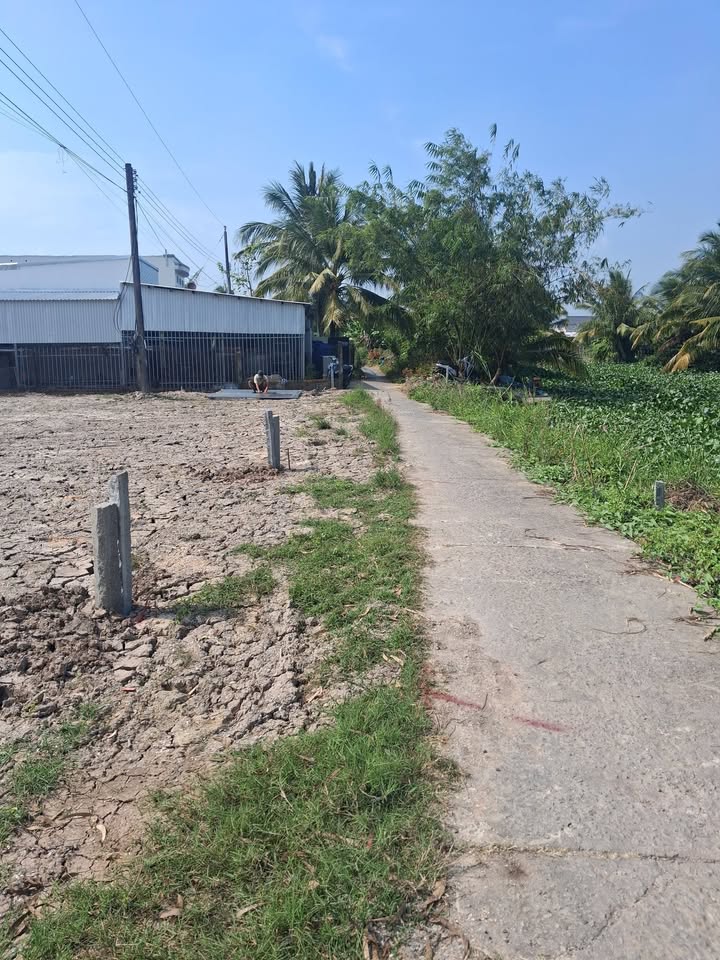 Đất nền Thạnh Lộc, Châu Thành 160m² giá 300 triệu - Cơ hội đầu tư hấp dẫn!