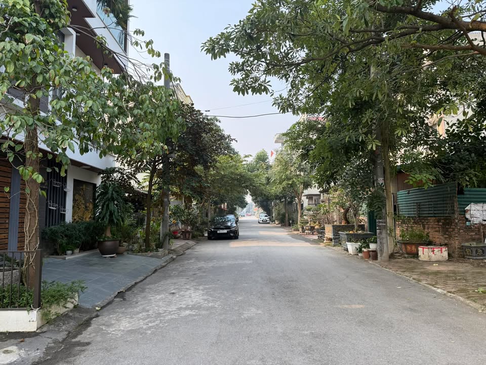 Đất đẹp Nguyễn Du, Việt Trì 116m² - Vị trí hiếm có, đầu tư sinh lời!