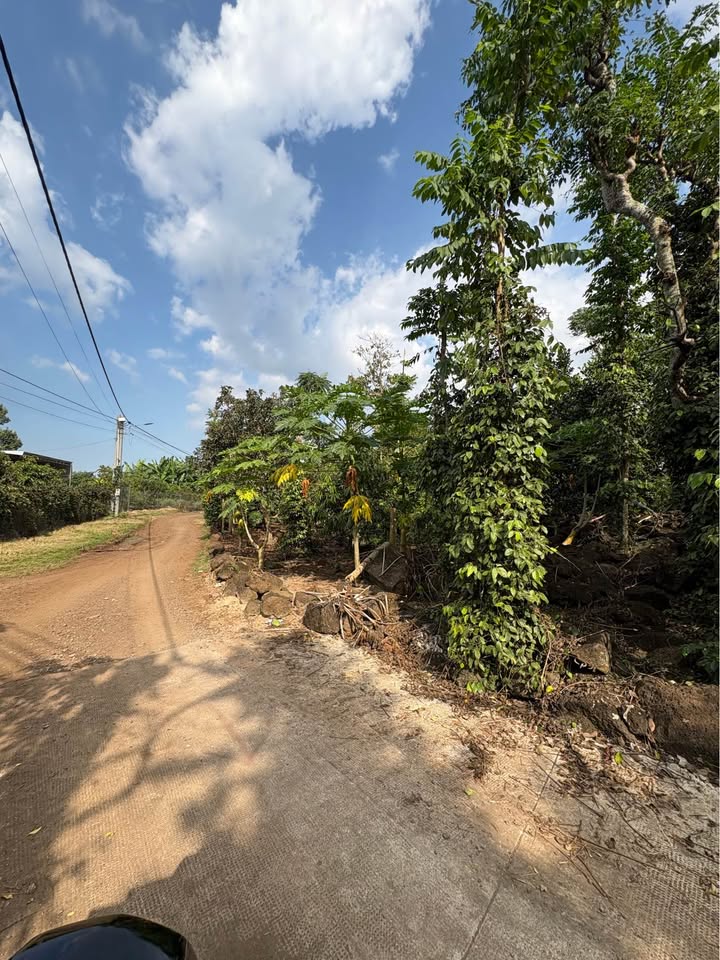 Đất nền 7200m² tại xã Hàng Gòn, Long Khánh - Giá chỉ 2 tỷ, sổ riêng!