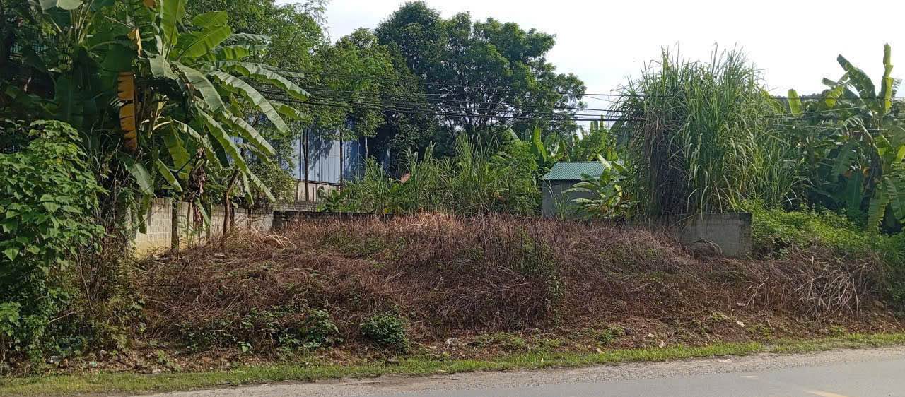 Đất nền Bản Cầm, Lào Cai 100m² giá chỉ 620 triệu - Cơ hội đầu tư hiếm có!