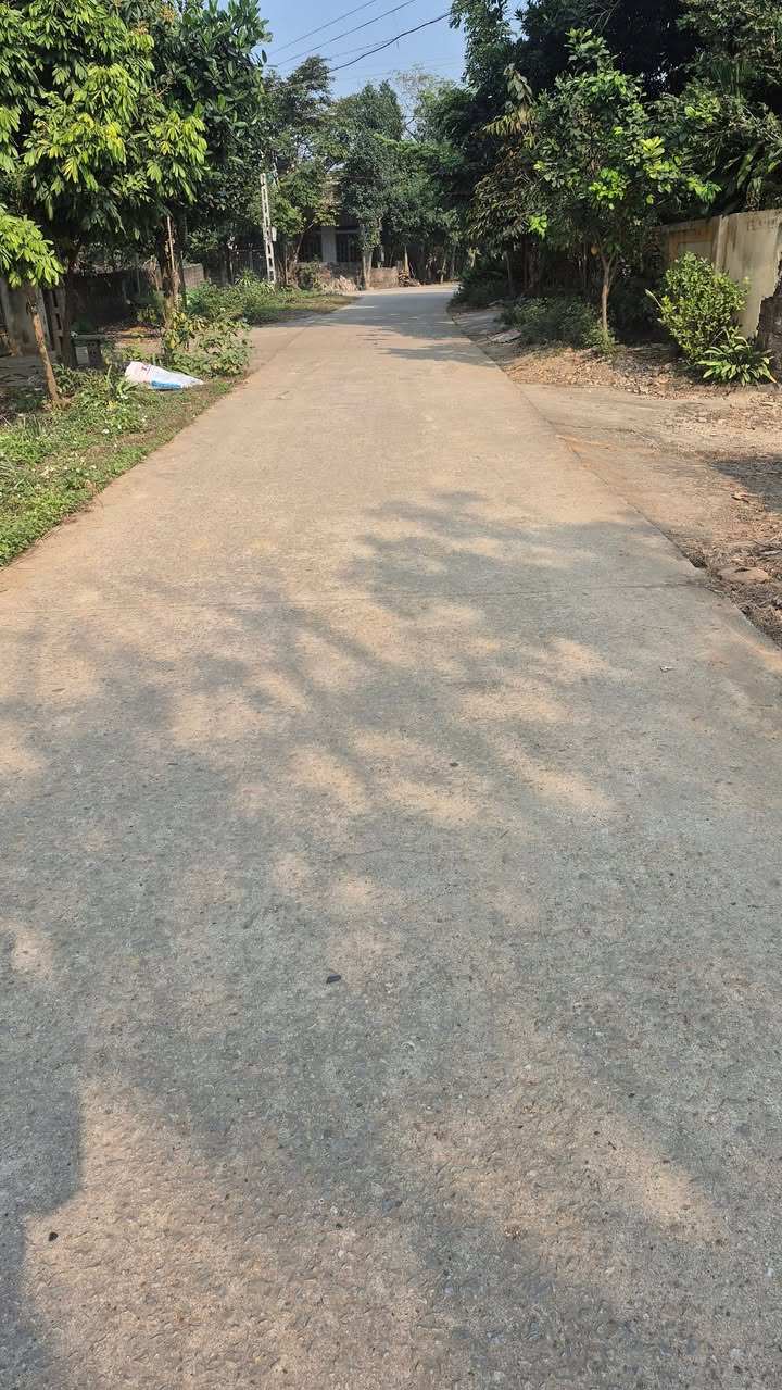 Đất nền 600m² tại Đông Sơn, Bỉm Sơn chỉ 2.3 tỷ - Sổ đỏ chính chủ!