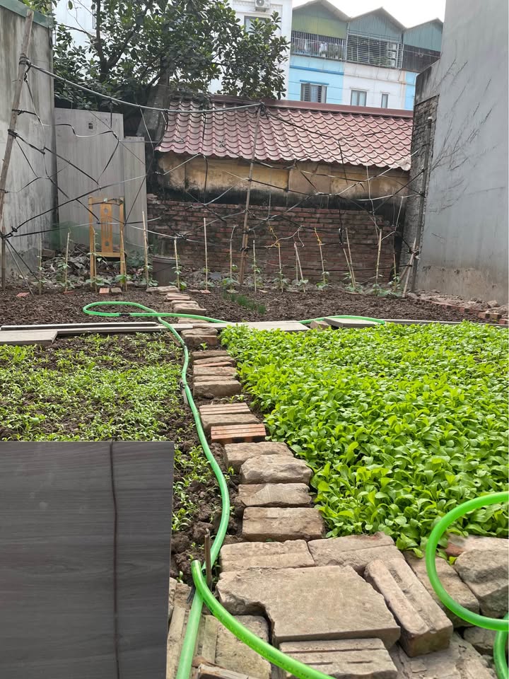 Đất nền Ngọc Thụy 70m² giá 10 tỷ - Đầu tư sinh lời ngay!