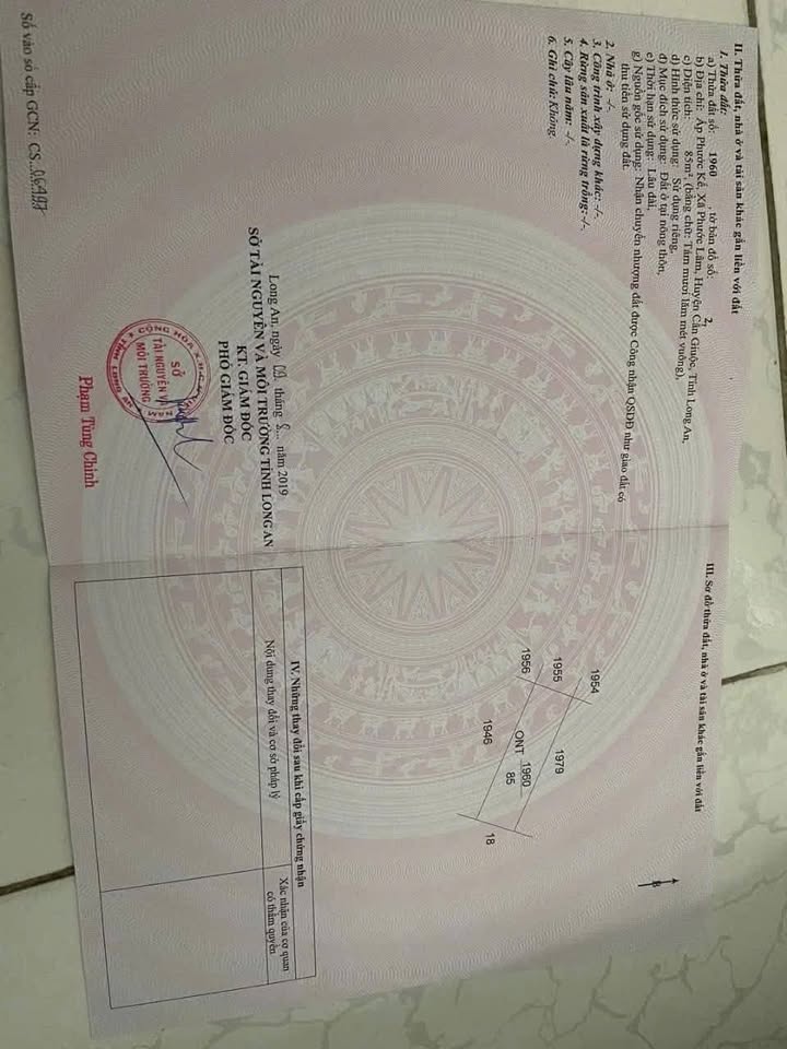 Đất thổ cư 85m² Cần Giuộc - Sổ hồng riêng, giá 570 triệu