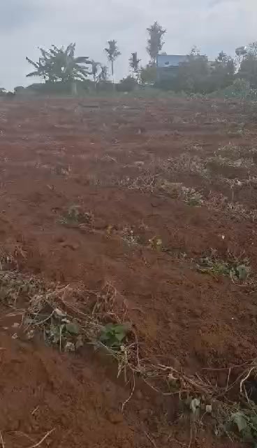 Đất nền xã Tân Văn, huyện Lâm Hà 20.000m² giá chỉ 390 triệu - Cơ hội đầu tư hấp dẫn!