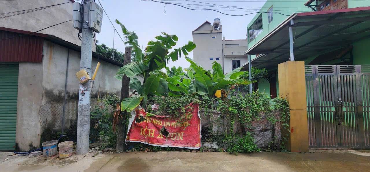 Đất đấu giá Tiền Phong, Mê Linh 85m² giá 4.25 tỷ - Đầu tư sinh lời ngay!