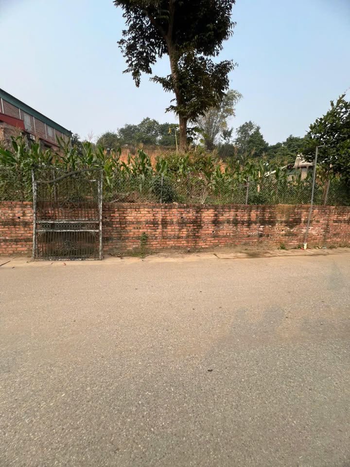 Đất thổ cư 111,6m² Thị Trấn Thanh Thủy - Cơ hội đầu tư lý tưởng!