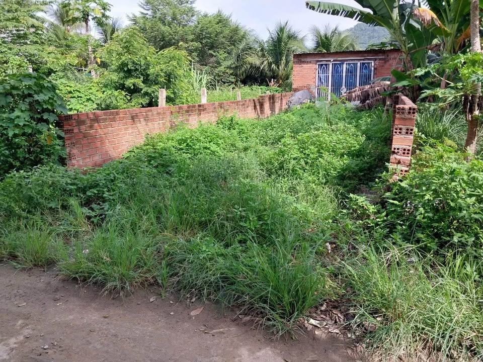 Đất ở Thôn Liên Thành, Vĩnh Hòa 114m² giá 1.14 tỷ - Sổ hồng chính chủ, đường ô tô