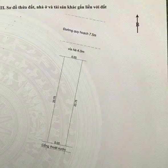 Đất Hòa Xuân Đà Nẵng 118,7m² - Cơ hội đầu tư hấp dẫn!