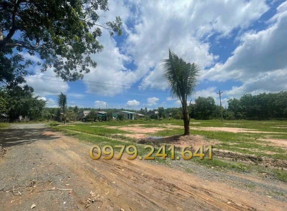 Đất nền 1150m² tại xã Đồng Tâm, huyện Đồng Phú - Giá chỉ 450 triệu, cơ hội đầu tư tuyệt vời!