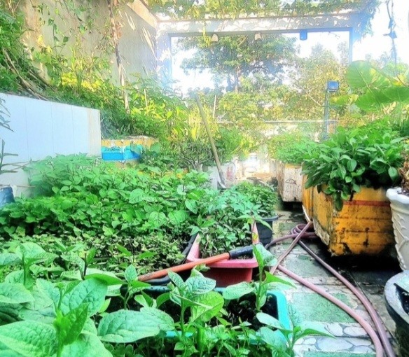 Nhà mặt tiền Khu tái định cư Sóng Thần Dĩ An 64m² giá 5.35 tỷ - Kinh doanh sầm uất!