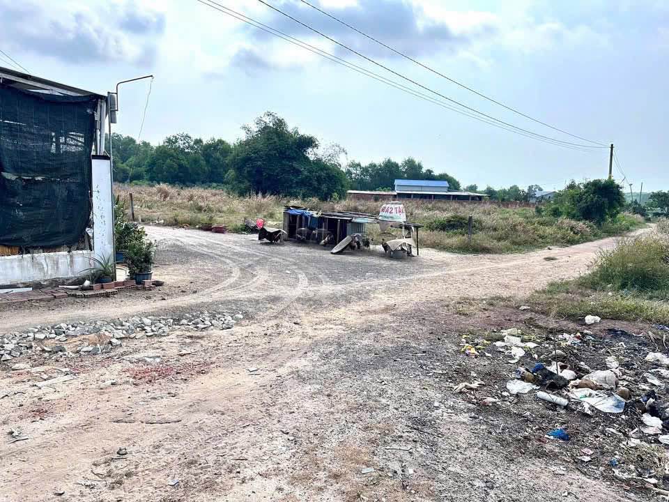 Đất nền Thị trấn Phước Hải 100m² giá 550 triệu - Khu dân cư đông đúc, tiện ích đầy đủ!