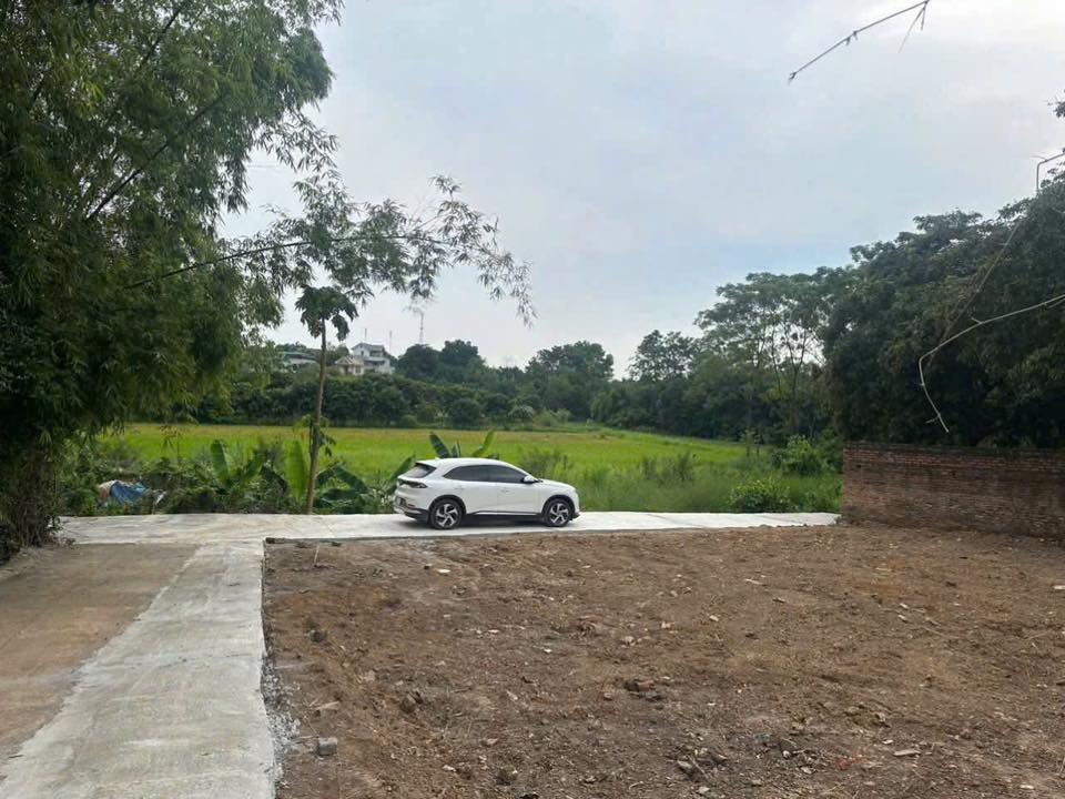 Đất nền phường Việt Trì 100m² giá 2 tỷ - Vị trí đắc địa, thuận tiện kinh doanh!