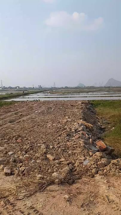 Lô đất VISHIP Nghệ An 154m² giá thỏa thuận - Đầu tư sinh lời ngay!