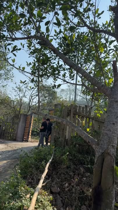 Nhà vườn tại Nam Xuân - Nam Đàn 1000m² giá 2 tỷ - Không thể bỏ lỡ!