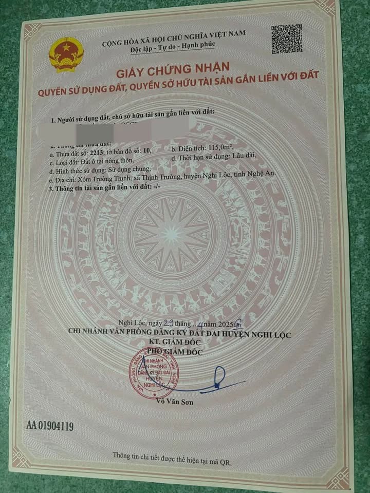Đất ở xóm Trường Thịnh, xã Nghi Trường 115m² - Giá đầu tư hấp dẫn!