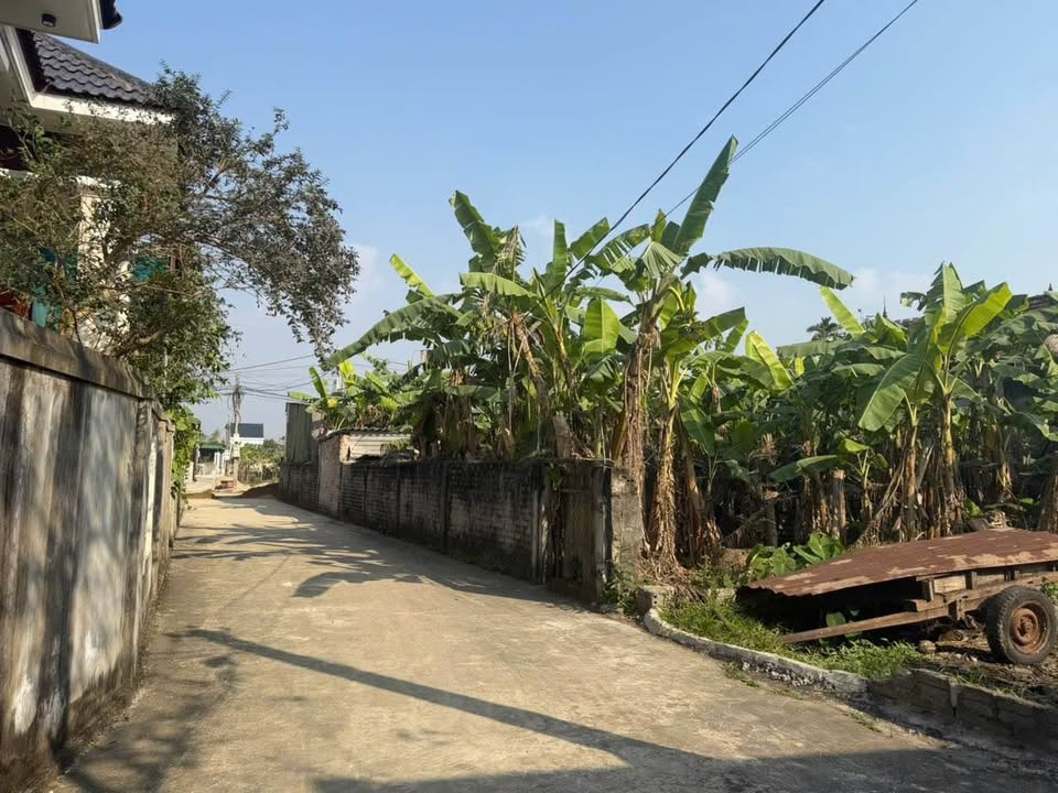 Đất thổ cư 122m² tại TT Quán Hành - Giá chỉ dưới 2 tỷ, cơ hội đầu tư tuyệt vời!