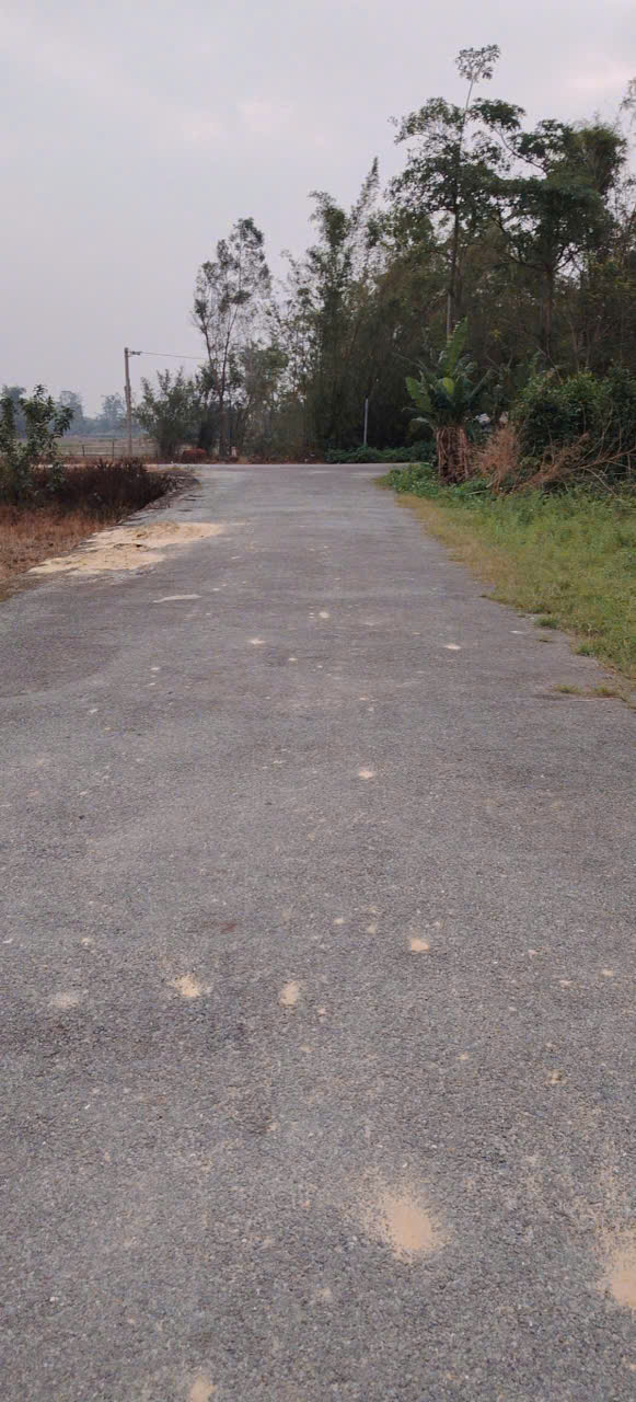 Đất Nghi Trường 106m² giá thỏa thuận - Đầu tư hoặc ở lý tưởng!