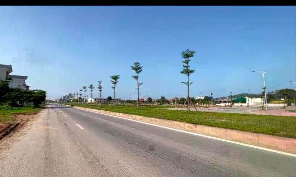 Lô đất Trục Bắc Nam 2, phường Hải Bình, Nghi Sơn, 130m² - Cơ hội đầu tư sinh lời!