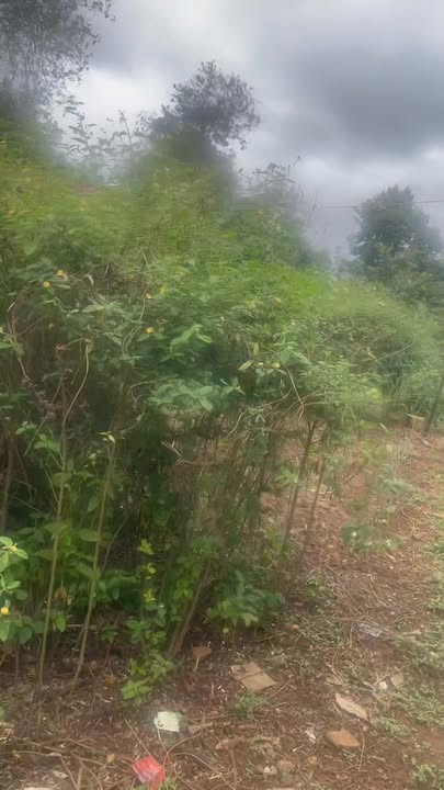 Lô đất đẹp tại Quốc lộ 26, Ea Kly, 2700m² chỉ 270 triệu - Cơ hội đầu tư sinh lời!