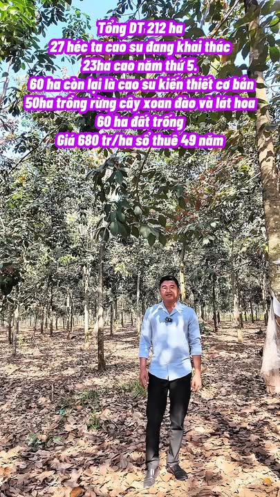 Đất vườn Bù Đốp, Bình Phước 212ha giá 680 triệu/ha - Cơ hội đầu tư tuyệt vời!