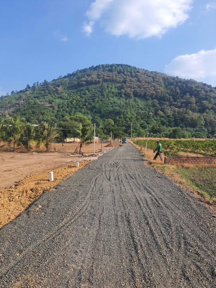 Đất nền Thạnh Lợi, Phường Bình Minh, 2700m² giá 1 tỷ - Cơ hội đầu tư tuyệt vời!