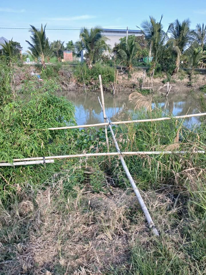 Farm 15 công tại xã Bình Tấn, Đồng Tháp giá 27 tỷ - Mặt tiền 100m kênh Sán lớn!