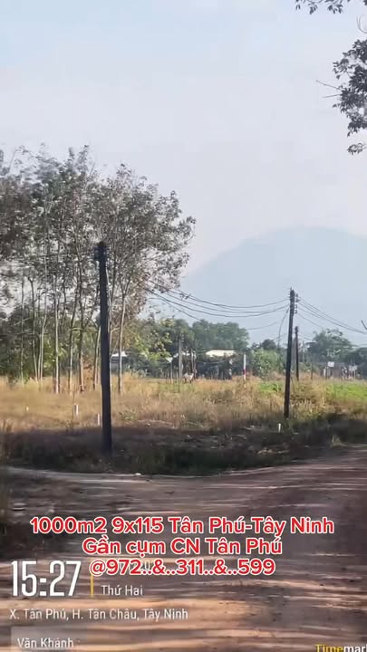 Đất nền 1000m² tại Tân Phú, Tây Ninh - Chỉ 280 triệu, sổ đỏ chính chủ!