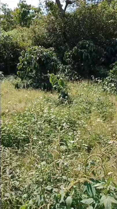 Đất nền dự án Gung Ré, Di Linh 7200m² giá 1.1 tỷ - Đầu tư sinh lời tuyệt vời!